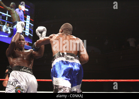 Chad Dawson bat Antonio Tarver pour l'IBF et le lBO light Heavyweight Championship title, au Palms Hotel and Casino Banque D'Images