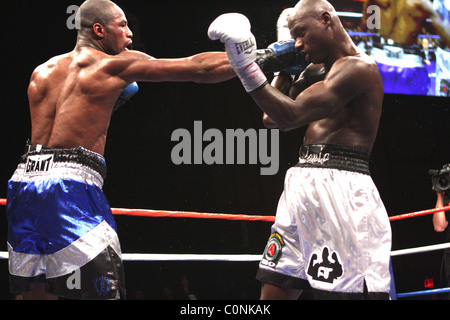 Chad Dawson bat Antonio Tarver pour l'IBF et le lBO light Heavyweight Championship title, au Palms Hotel and Casino Banque D'Images