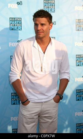 David Boreanaz Fox TCA Summer Party à la jetée de Santa Monica Santa Monica, Californie - 14.07.08 Banque D'Images