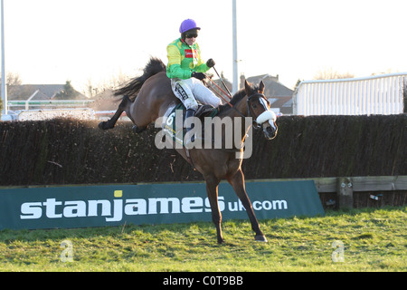 Kauto Star gagne le Stan James King George VI Steeple Chase, remportant ú99,898. Kauto Star a remporté la course pour la 3e fois fixé à Banque D'Images