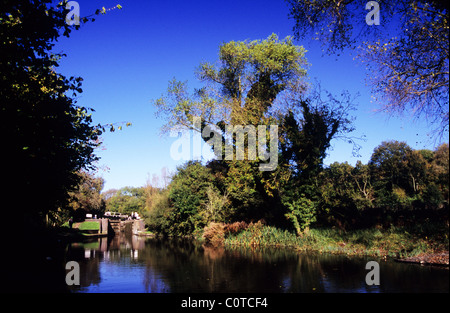 Grand Union Canal, entre Hemel-Hempstead et Berkhamsted. Le Hertfordshire. Balades pittoresques le long des chemins de remorquage. Banque D'Images