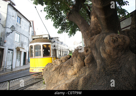 Le tramway électrique montée à Lisbonne Banque D'Images