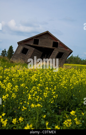 Un bâtiment s'effondre sur les prairies canadiennes, l'Alberta Banque D'Images