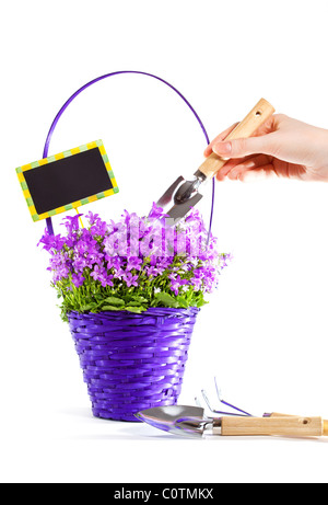 Panier de soins avec des fleurs. Isolé sur blanc. Banque D'Images