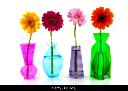 Fleurs en ligne Gerber coloré vases peu Banque D'Images
