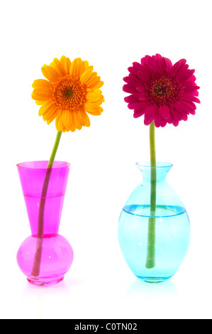 Fleurs colorés en verre moderne Gerber vases Banque D'Images
