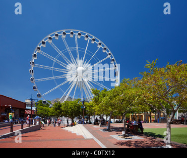 La roue d'excellence sur V&A Waterfront à Cape Town. Western Cape, Afrique du Sud. Banque D'Images