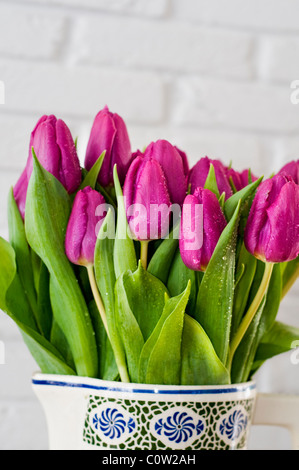 Un bouquet de tulipes dans un vase mauve contre un mur blanc Banque D'Images