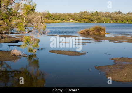 'Loch McNess" (lac Wagardu) au Parc National de Yanchep, Perth, Australie occidentale Banque D'Images