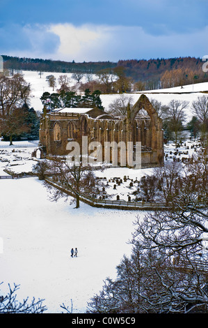 Bolton Abbey Yorkshire Dales River Wharfe Banque D'Images