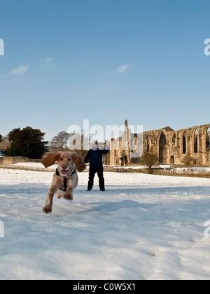 Bolton Abbey Yorkshire Dales River Wharfe Banque D'Images