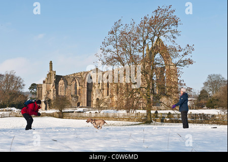 Bolton Abbey Yorkshire Dales River Wharfe Banque D'Images