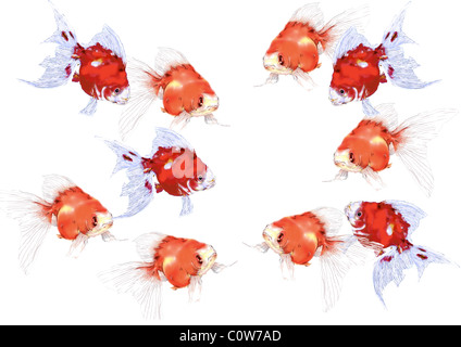 Schéma de peinture japonaise, les poissons rouges Banque D'Images