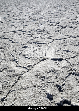 La boue craquelée séché, la Death Valley en Californie, USA Banque D'Images