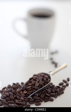 Ecope de grains de café avec café tasse en arrière-plan Banque D'Images