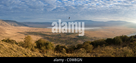 En vue de l'ascension le cratère du Ngorongoro Tanzanie Route Banque D'Images