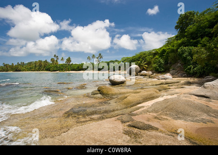 Surf & courbes sur la plage rocheuse isolée, Vieques, Puerto Rico Banque D'Images