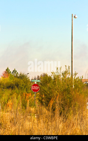 Logements vacants envahi par lots, Tampa, Floride. Wellington à Meadow Pointe, N28° 10' 25' et W82° 19' 11'. Banque D'Images