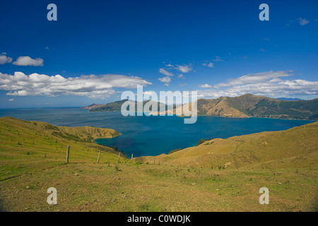 La French Pass, une vue sur Marlborough Sounds, île du sud Nouvelle-zélande Banque D'Images