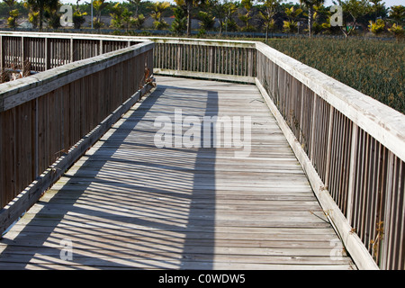 Promenade en bois surélevée, Green Cay, zones humides nature center, Florida, USA, Banque D'Images