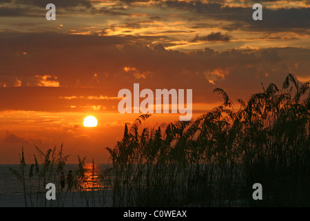 Coucher du soleil avec seaoats dans Madeira Beach en Floride. Tampa Bay Banque D'Images