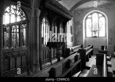 Église de Saint-Nicolas et Saint Cyriac, South Devon, piscine, beau jubé Banque D'Images