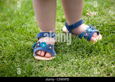 Pieds de filles en sandales sur l'herbe Banque D'Images