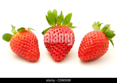 Les fraises espagnoles sur fond blanc Banque D'Images