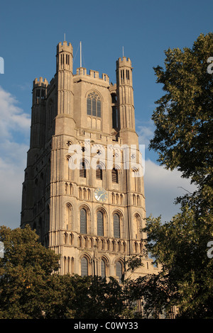 Une soirée sur la façade orientée ouest soleil de cathédrale d'Ely, Cambridgeshire, Royaume-Uni. Banque D'Images