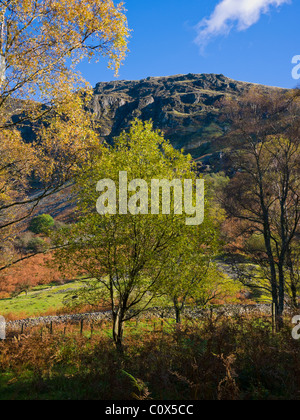 Le versant ouest de Whin Rigg à Wastwater près de Nether Wasdale dans le parc national Lake District, Cumbria, Angleterre. Banque D'Images