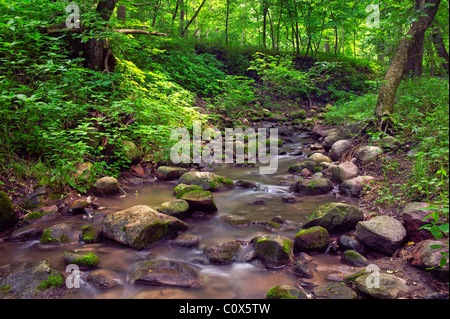 Rock Creek, Kilen Woods State Park, Jackson Comté (Minnesota) Banque D'Images