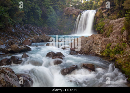 Tawhai Falls (Whakapapanui Stream), Parc National de Tongariro, île du Nord, Nouvelle-Zélande Banque D'Images