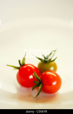 Bijoux colorés : tomates cerises cueillies fraîches de l'arrière jardin organique Banque D'Images