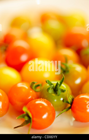 Bijoux colorés : tomates cerises cueillies fraîches de l'arrière jardin organique Banque D'Images