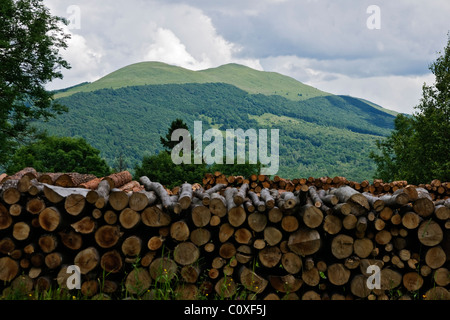 Beautifool vert des montagnes en polonais de Bieszczady Banque D'Images