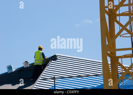 Finition de la construction de certaines toitures, avec grue en coin, Wellington, Nouvelle-Zélande (Maoris) maison Wharewak /Waka Banque D'Images