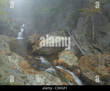 Vierges et sauvages de la rivière New Hampshire en brouillard tôt le matin Banque D'Images