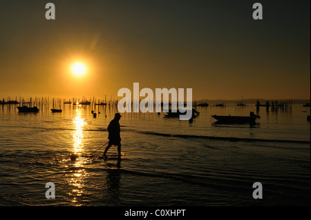 Lever du soleil sur la baie d'Arcachon, Cap Ferret, département de la Gironde, France Banque D'Images