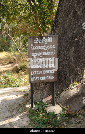 Arbre mort contre lequel les bourreaux frappent les enfants. Les champs de la Mort de Choeung Ek, Cambodge Banque D'Images