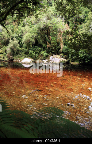 Près de Moria Gate grotte et arch, Oparara Nouvelle-zélande Banque D'Images