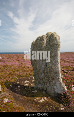 Pierre debout sur le bas de la Chapelle St Martin Isles of Scilly Banque D'Images