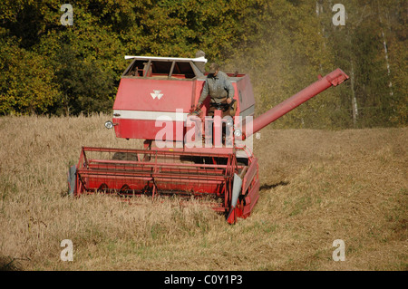 Grain rouge harvester combiner dans un champ Banque D'Images