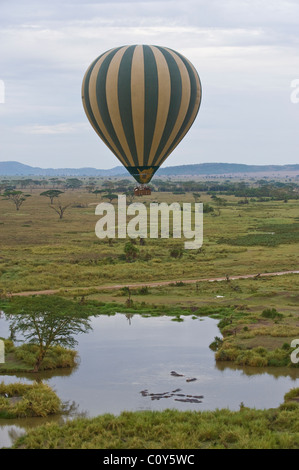 Ballon à air chaud sur safari Serengeti, Tanzanie, Seronera Banque D'Images