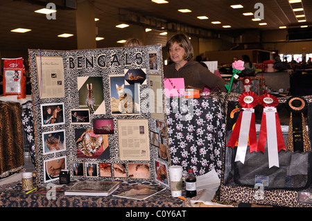 Exposition féline, Waco, Texas, États-Unis Banque D'Images