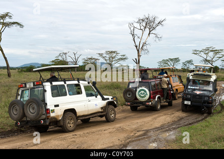 Embouteillage causé par les visiteurs de regarder un Leopard en Tanzanie Serengeti Seronera Banque D'Images