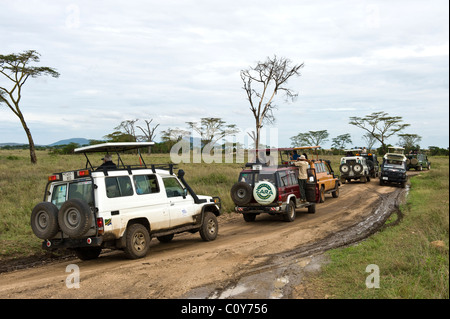 Embouteillage causé par les visiteurs de regarder un Leopard en Tanzanie Serengeti Seronera Banque D'Images