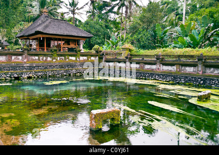 Étang vert à Ubud emplacement du temple à Bali Indonésie Banque D'Images