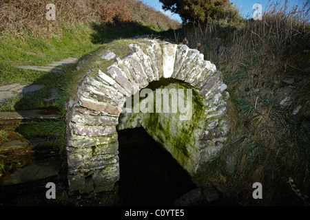 St d'ANC et bien, près de St Davids, Pembrokeshire, Pays de Galles, Royaume-Uni Banque D'Images