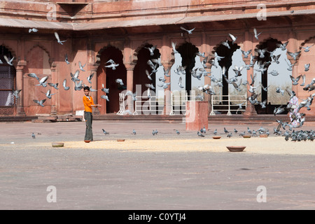 Jeune Indien boy feeding pigeons à l'extérieur de la mosquée Jama Masjid dans la vieille ville de Delhi. Banque D'Images