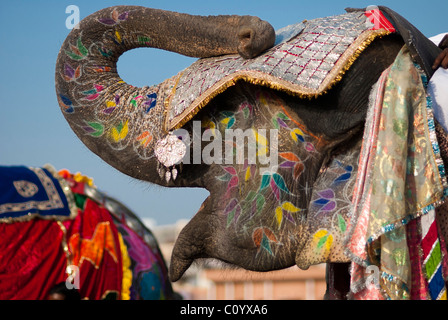 Profil d'un éléphant peint' s head. Photo prise au cours de l'assemblée annuelle du Festival de l'Éléphant de Jaipur Banque D'Images